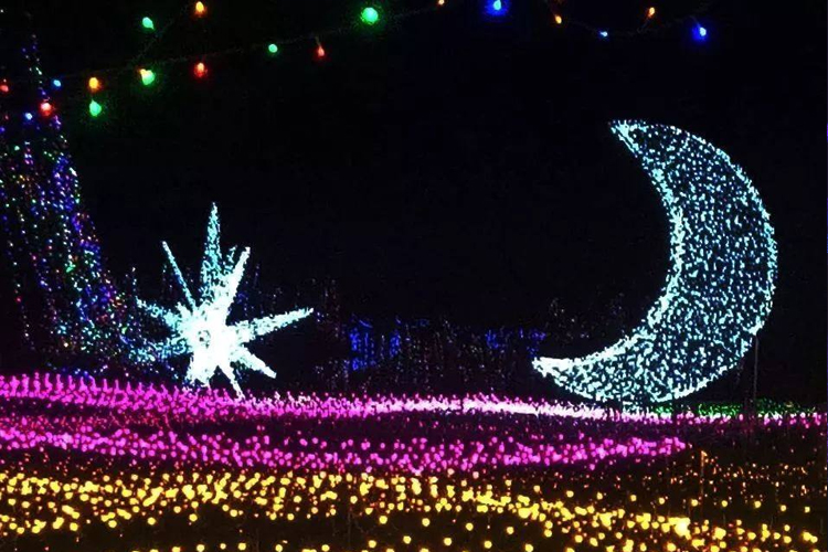 綿陽國際主題公園燈光秀